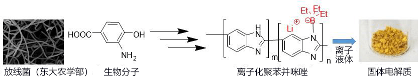 日本北陆先端科技大成功制作出世界最高水准的有机类准固态电解质