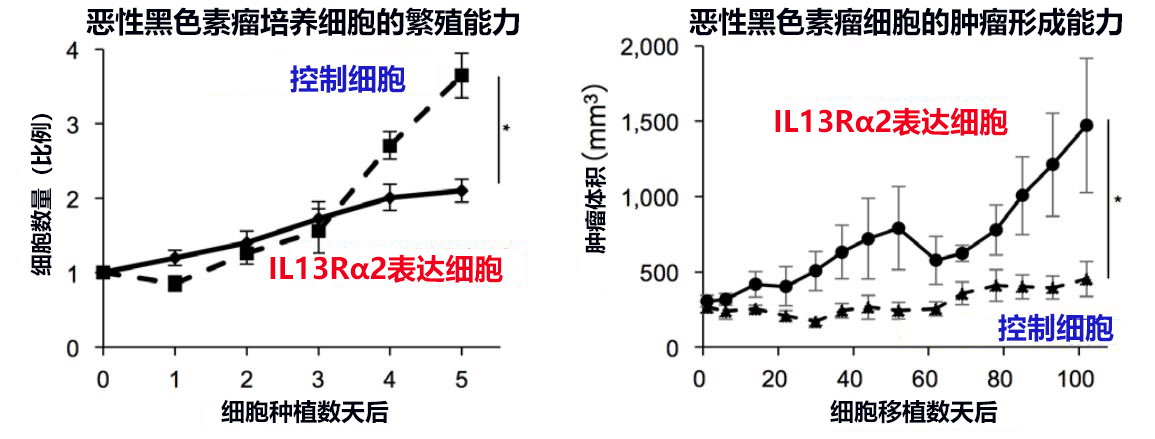 东京医科齿科大学与东京大学发现IL13Rα2导致恶性黑色素瘤恶化的机制