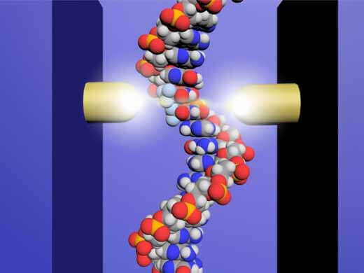 全球首次！日本大阪大学利用单分子量子测序仪直接观察到进入DNA中的抗癌药物