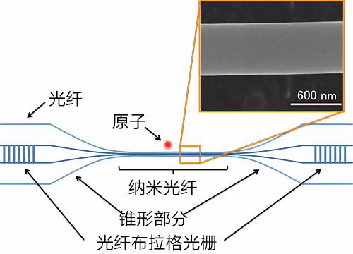 早大利用光纤低损耗高效耦合两个腔量子电力学系统