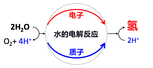 理研发现锰催化剂持续电解水的条件,非贵金属制氢实现在望