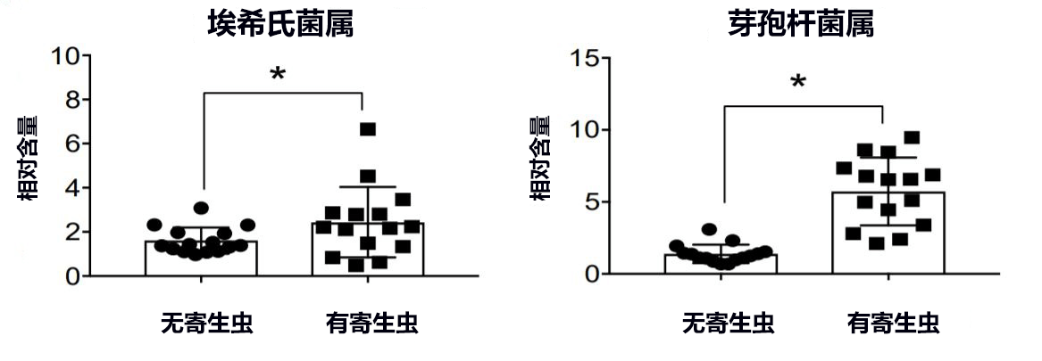 全球首次科学证明寄生虫有减肥效果