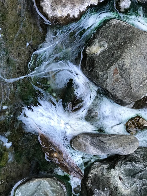 微生物固碳 日英发现地球深碳“守门人