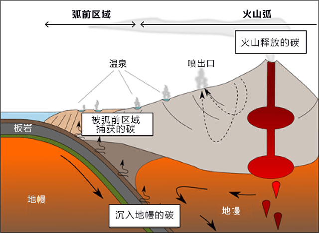 微生物固碳 日英发现地球深碳“守门人