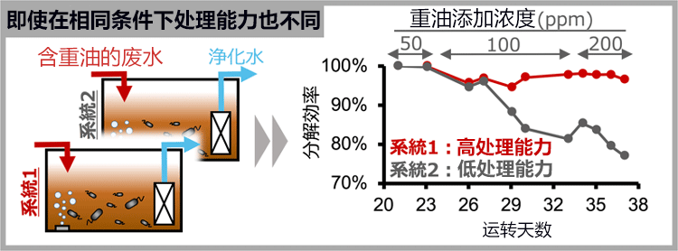 日本产综研发现,活性污泥中的硝化细菌会影响水处理性能