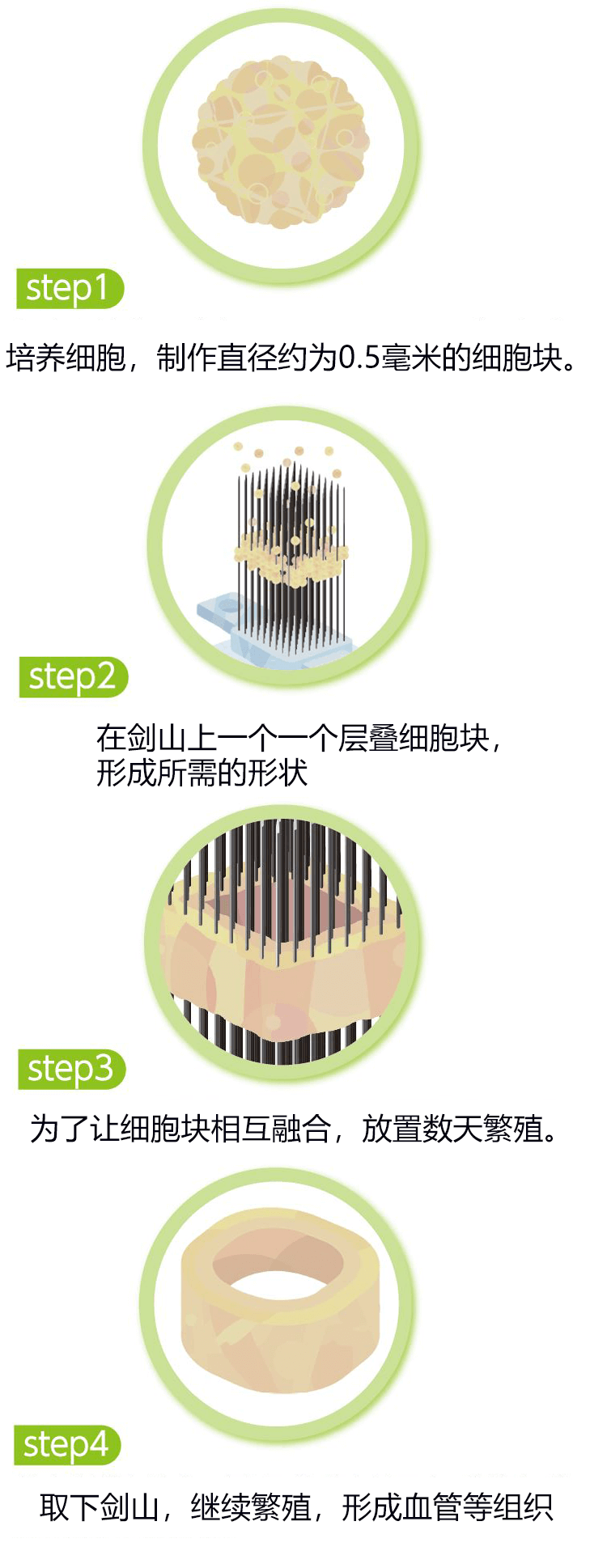 100%使用细胞制作的人造组织,开拓再生医疗新时代