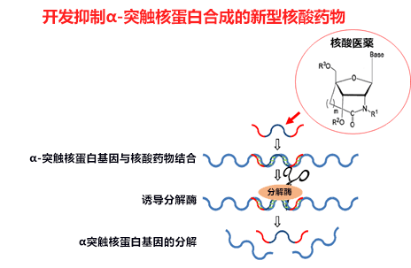 日本开发新型核酸药物，向根治帕金森病迈进一大步