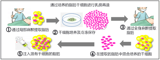 日本机构开发出能吸收所有光线的超级黑膜