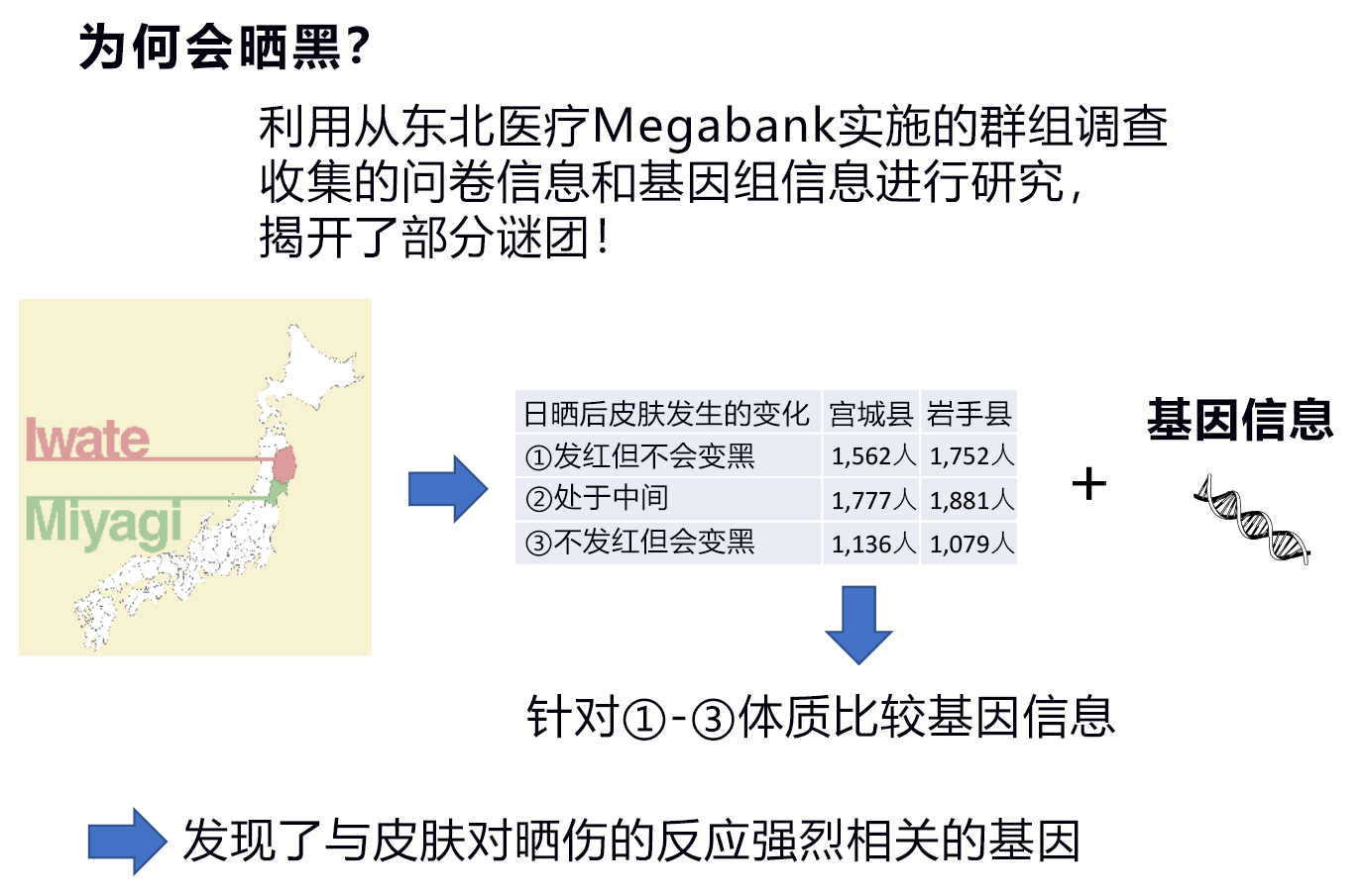 皮肤是否容易晒黑由基因决定