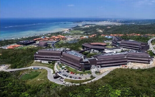 与珊瑚海葵同类,为什么只有水母会游泳