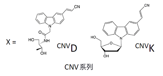 用光控制细胞内靶基因表达,有望应用于抗癌核酸药物