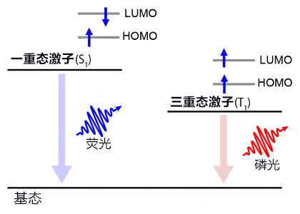 日本理研发现OLED新发光机制,能在低电压下选择性形成三重态激子