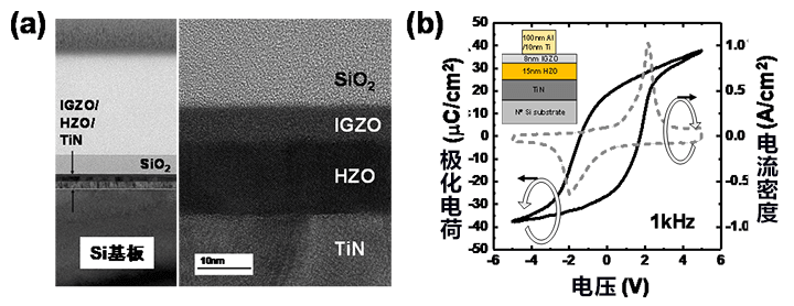 日本成功开发出融合IGZO和新一代功能性材料的新器件
