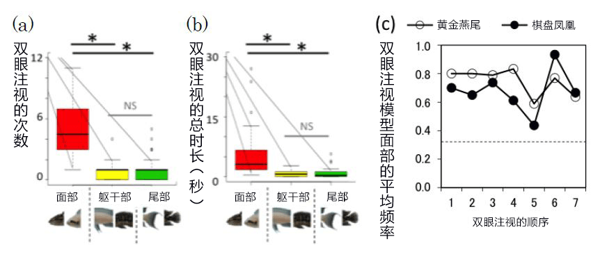 鱼儿也是看脸的!