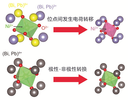 东京工业大学发现导致“热缩冷胀”现象的两种新机理