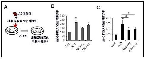 日本发现植物源阿尔茨海默病治疗药候选物质，以致病因子Aβ低聚体为靶向
