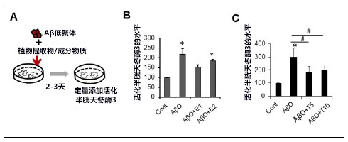 日本发现植物源阿尔茨海默病治疗药候选物质,以致病因子Aβ低聚体为靶向