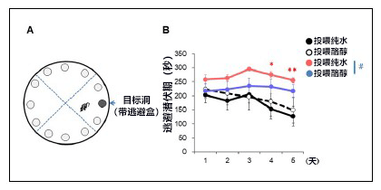 日本发现植物源阿尔茨海默病治疗药候选物质，以致病因子Aβ低聚体为靶向