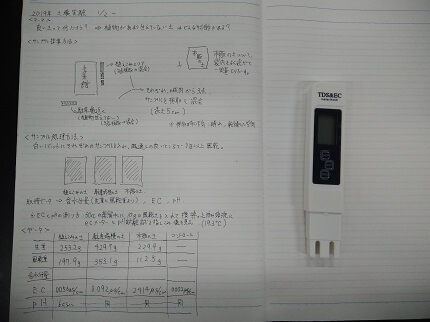 什么样的土壤适合植物生长