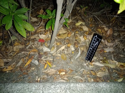什么样的土壤适合植物生长