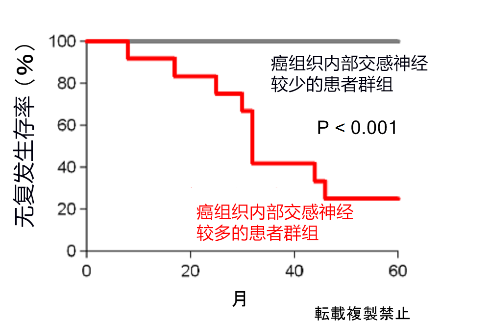 味觉、听觉与写作，AI不动声色地步入我们的生活