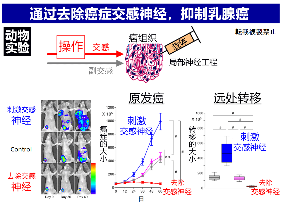 味觉、听觉与写作,AI不动声色地步入我们的生活