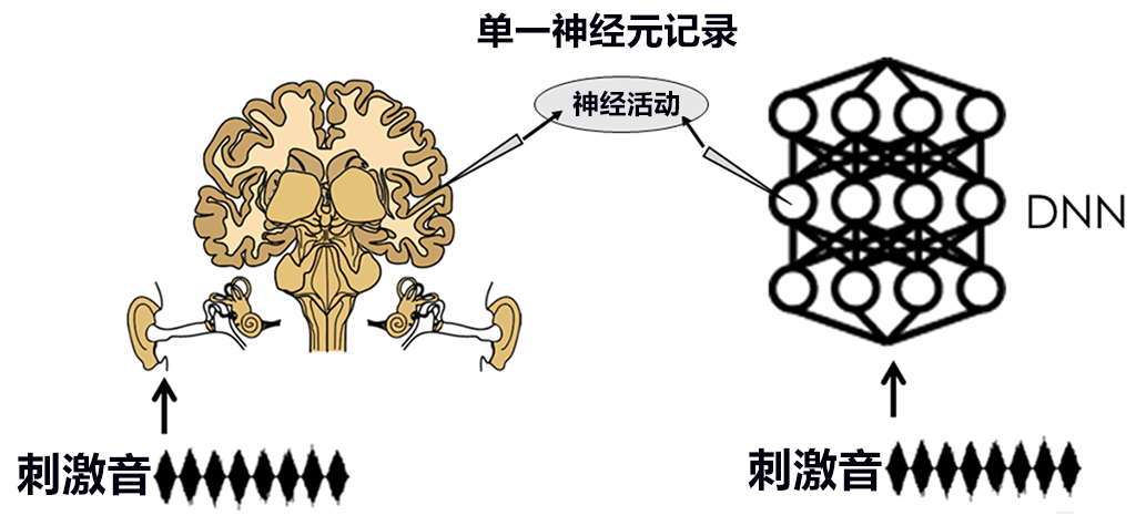 味觉、听觉与写作，AI不动声色地步入我们的生活