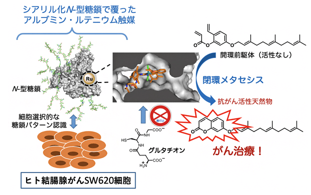 划时代的癌症“体内合成化学疗法”即将到来