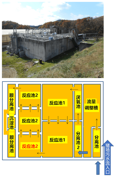 碳纤维反应器大幅削减养猪场污水净化处理设施的温室气体排放量