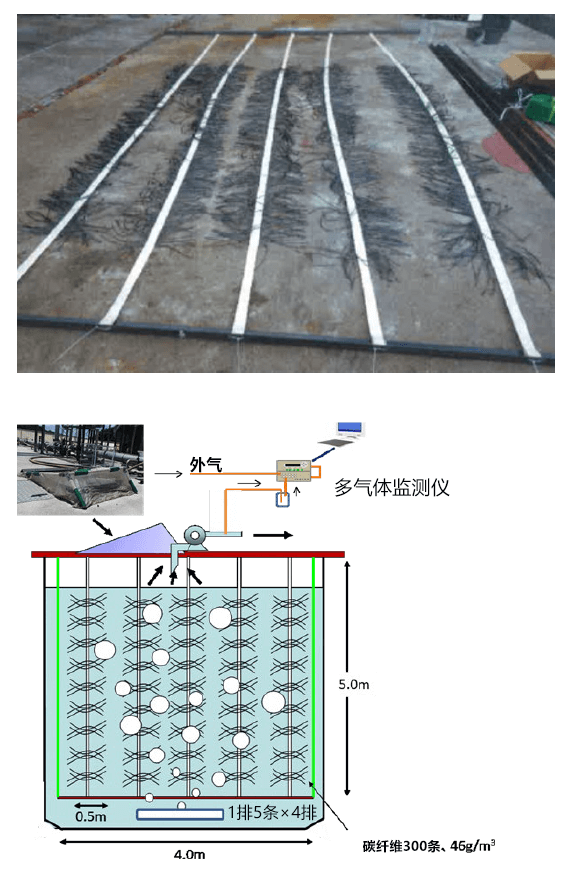 碳纤维反应器大幅削减养猪场污水净化处理设施的温室气体排放量