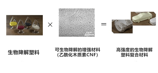 京都大学等发现高生物降解性塑料用增强纤维