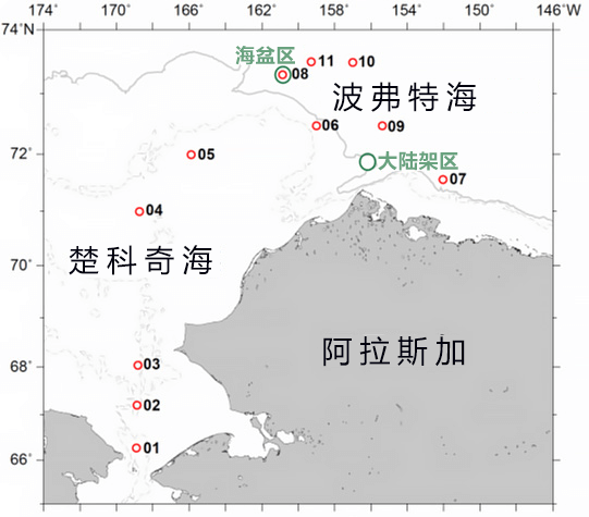 北冰洋海冰减少会导致氮循环改变