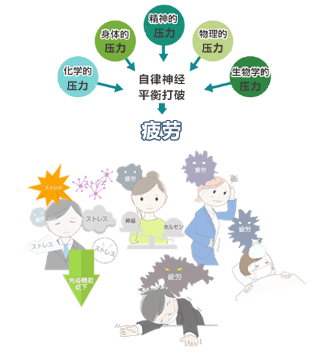 阪大发现测定心理压力的血液指标物,明确精神压力的大小