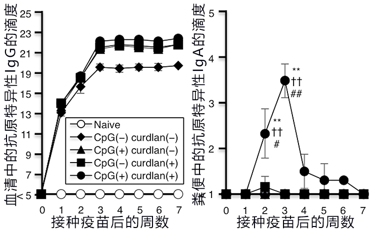 日本开发出控制肠道细菌引发疾病的新型粘膜疫苗