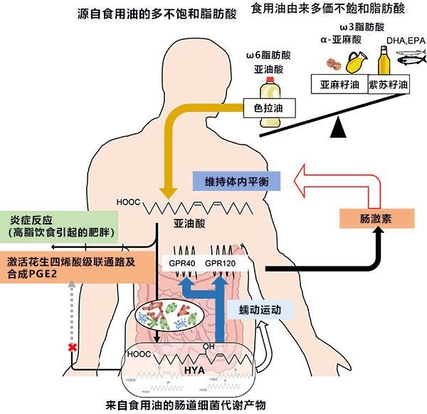 东工大退休后前往北京，中国的研究环境飞跃发展