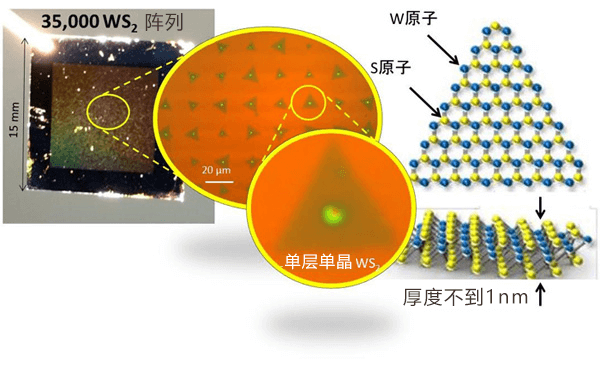 日本查明半导体原子片的新合成机制,有望实现新一代柔性光电子器件