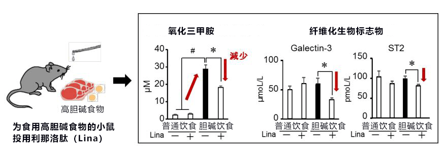 日本东北大学等发现便秘药利那洛肽对肾病也有疗效