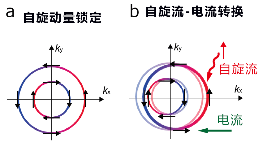 只需在铜上涂覆色素即可实现自旋转换功能