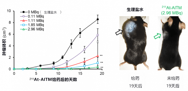 日本开发出针对恶性黑色素瘤的靶向同位素治疗候选药物