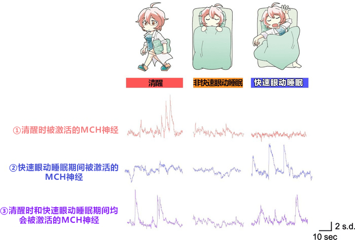 事如春梦了无痕 的机理终于搞清楚了