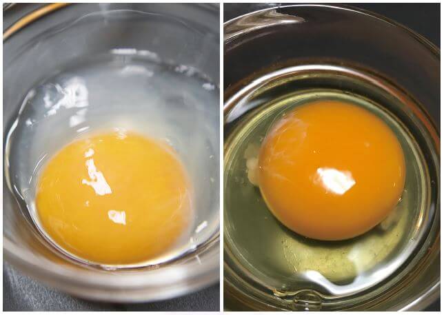 ■图4：含IFN-β的蛋清（左）与普通鸡蛋（右）相比颜色浊白。一颗鸡蛋含30～60毫克IFN-β。
