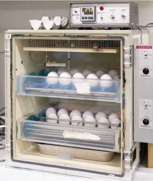 研究室里的带自动转蛋功能的孵蛋机