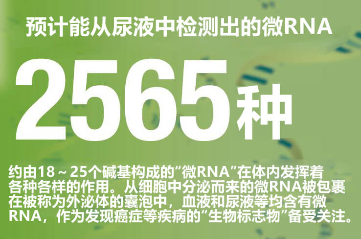 利用纳米线,只需1毫升尿液即可检测癌症