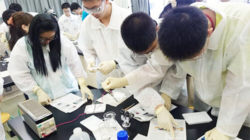 日本人与诺贝尔奖 白川英树:2000年诺贝尔化学奖得主,让塑料导电