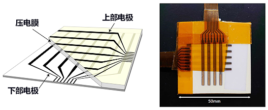 日本开发出与人皮肤感觉性能相同的机器人皮肤传感器