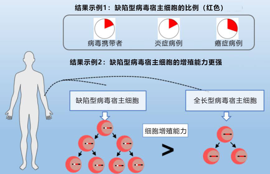 日本建立人T细胞白血病病毒序列的高精度全新检测方法
