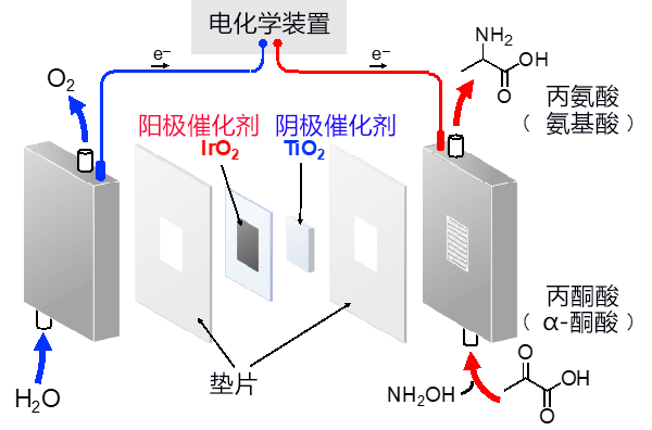 日本利用基于电能的有机酸和水高效合成氨基酸