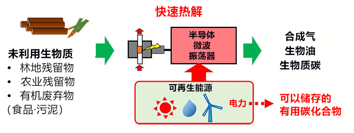 日本发现使抑癌基因失活的新机制，已在开发新药