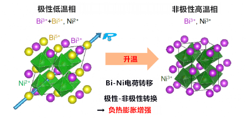 两种机制同时作用，增强新材料的“热缩”性能