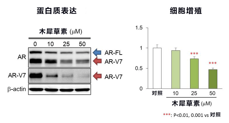 日本开发出兼备高活性和高耐久性的酯化用途固化催化剂